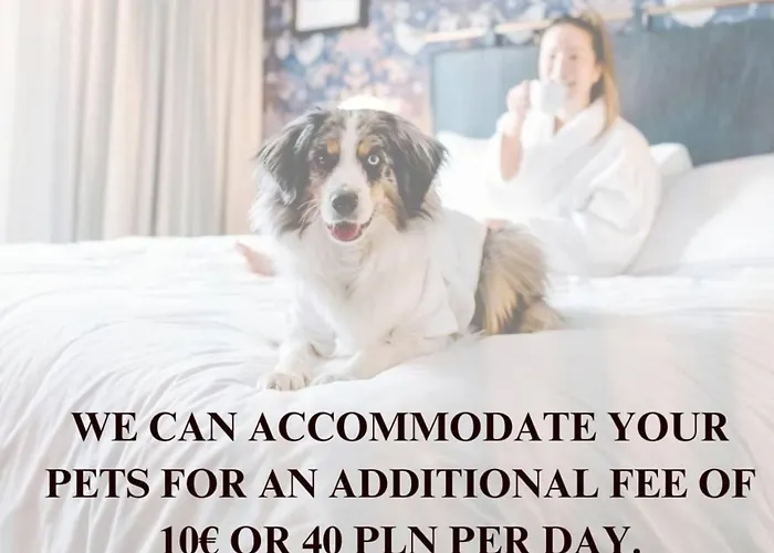 Lumina Premium With View On Center * Warsaw